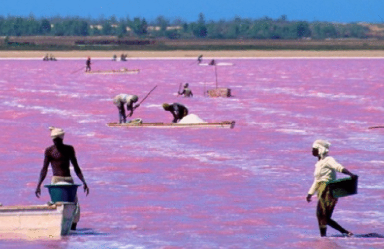 Lac Rose : la société civile refuse un urbanisme au détriment de l’écosystème et alerte…