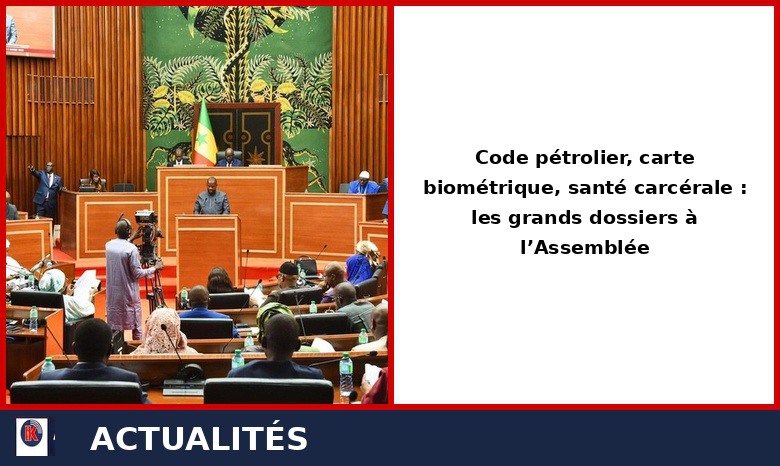 Assemblée nationale : Pétrole, carte CEDEAO et santé en prison au menu de la session extraordinaire